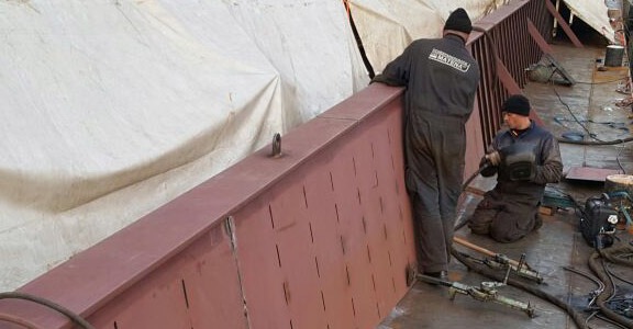 Het-vernieuwen-van-de-denneboom-en-het-dichtmaken-ervan1 Het-vernieuwen-van-de-denneboom-en-het-dichtmaken-ervan1